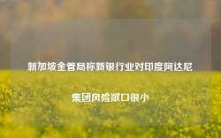 新加坡金管局称新银行业对印度阿达尼集团风险敞口很小