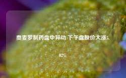 奥麦罗制药盘中异动 下午盘股价大涨5.02%