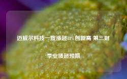 迈威尔科技一度涨超18%创新高 第三财季业绩超预期