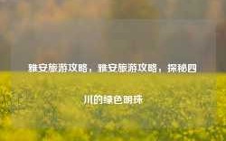 雅安旅游攻略，雅安旅游攻略，探秘四川的绿色明珠