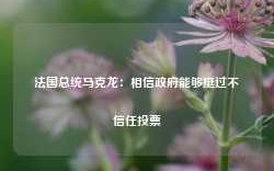 法国总统马克龙：相信政府能够挺过不信任投票