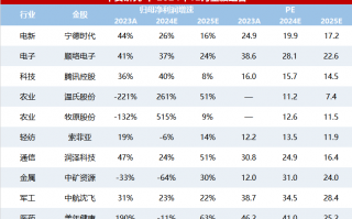 12月十大金股