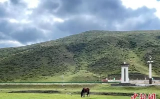 （铸牢共同体 中华一家亲）牧草场“蝶变”旅游村  甘南奏响共富“协奏曲”你能不能换工作？男子嫌妻子做足浴自己没面子被怼：有本事你养我