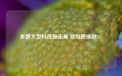 多数大型科技股走高 亚马逊涨超2%