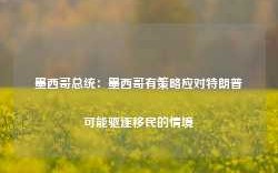 墨西哥总统：墨西哥有策略应对特朗普可能驱逐移民的情境