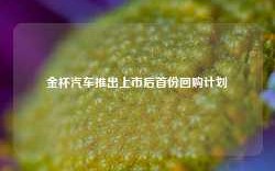 金杯汽车推出上市后首份回购计划