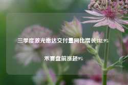 三季度激光雷达交付量同比增长182.9% 禾赛盘前涨超9%-第1张图片-旅游大全网